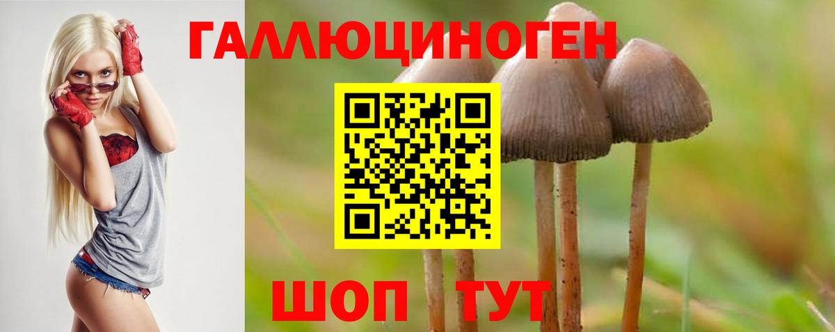 как найти наркотики  Псилоцибиновые грибы Cubensis  Вход с VPN  Прохладный  Псилоцибиновые грибы Magic Shrooms 